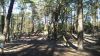 landschaft 5